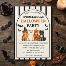 Mooie griezelige Halloween-kattenfeest
