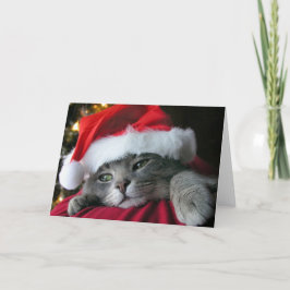 Mooie Grijze het katkat van Kerstmis Feestdagen Kaart