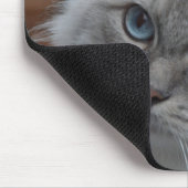 Mooie grijze kat met blauwe ogen Muismat (Hoek)