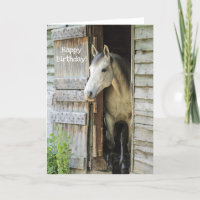 Mooie grijze merrie paard Custom Happy Birthday