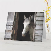 Mooie grijze merrie paard groot kaart (Gele Bloem)