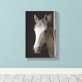Mooie Grijze Merrie PAARDEN Canvas Afdruk (Insitu (Houten vloer))