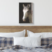 Mooie Grijze Merrie PAARDEN Canvas Afdruk (Insitu (Slaapkamer))