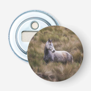 Mooie grijze paard button flesopener