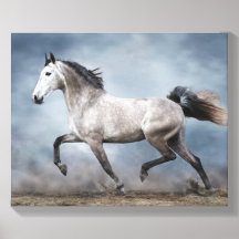 Mooie Grijze Paard Dramatische Lucht Zandlandschap