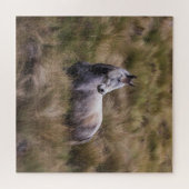 Mooie grijze paard legpuzzel (Horizontaal)