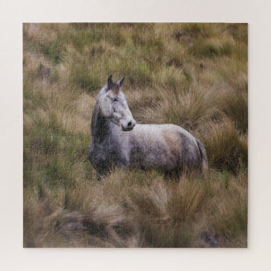 Mooie grijze paard legpuzzel