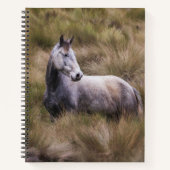 Mooie grijze paard notitieboek (Voorkant)