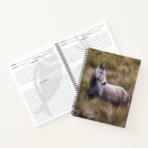 Mooie grijze paard notitieboek