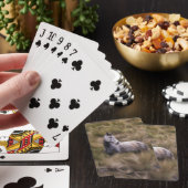Mooie grijze paard pokerkaarten (Insitu)