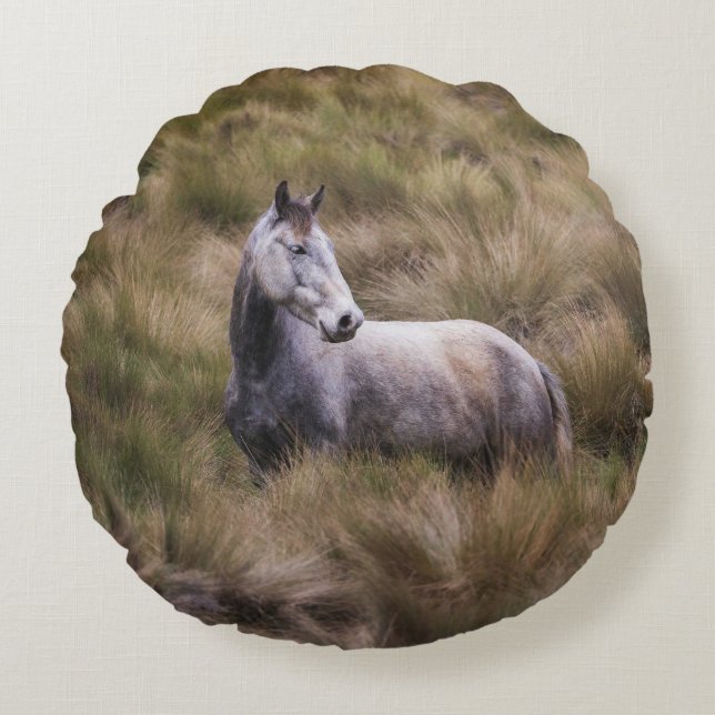 Mooie grijze paard rond kussen (Voorkant)