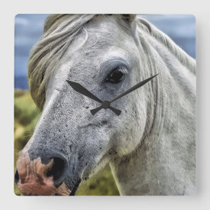 Mooie grijze paardenklok vierkante klok