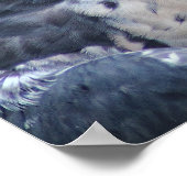 Mooie grijze Pelegrine Falcon Poster (Hoek)