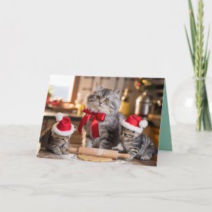 Mooie grijze tabby kerstkoekjes kaart