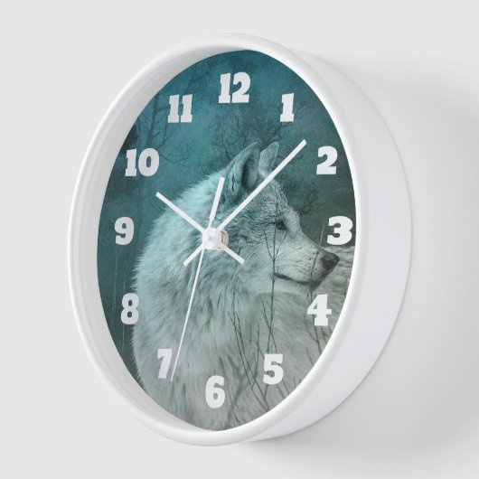 Mooie Grijze Wolf in een Donker Bos (Hoek)