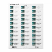 Mooie Grijze Wolf in een Donker Bos Adres Etiket (Full Sheet)