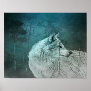 Mooie Grijze Wolf in een Donker Bos Poster