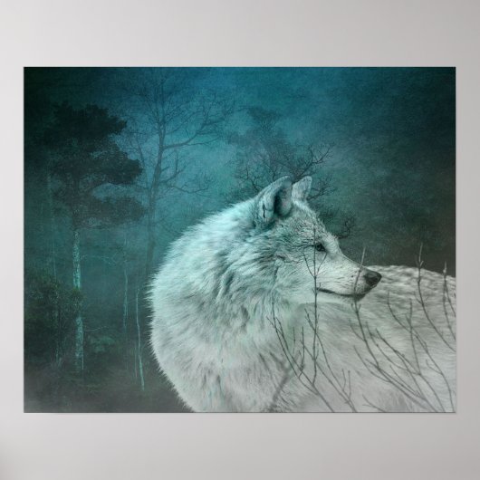 Mooie Grijze Wolf in een Donker Bos Poster (Voorkant)