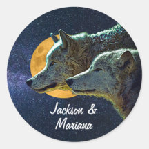 Mooie grijze wolven 's nachts