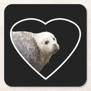 Mooie Grijze Zeehond Portret Kust Natuur Kunst Kartonnen Onderzetters