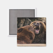 Mooie Grizzly Beren Magneet (Voorkant / Achterkant)