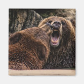 Mooie Grizzly Beren Magneet (Voorkant)
