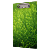 Mooie groene achtergrond klembord (Links)