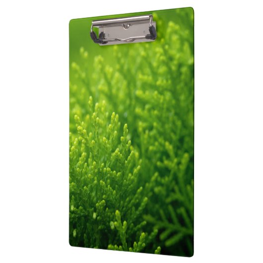 Mooie groene achtergrond klembord (Links)