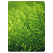 Mooie groene achtergrond klembord (Achterkant)