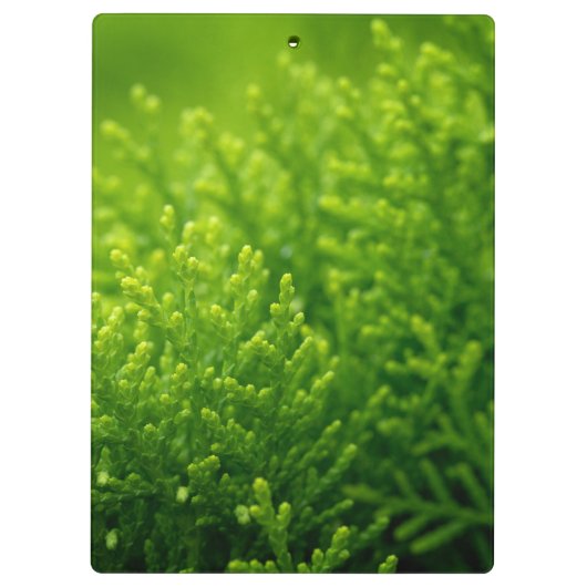 Mooie groene achtergrond klembord (Achterkant)