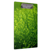 Mooie groene achtergrond klembord (Rechts)