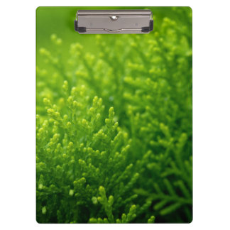 Mooie groene achtergrond klembord