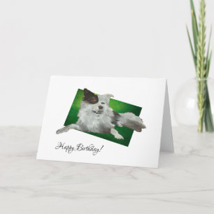 Mooie groene Australische stierenhond Originele Ku Kaart