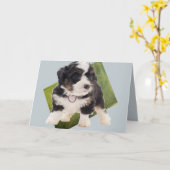 Mooie groene Bernedole Puppy Art  Kaart (Gele Bloem)