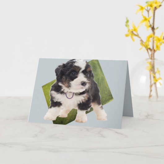Mooie groene Bernedole Puppy Art Kaart (Gele Bloem)