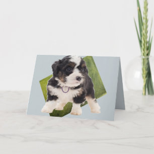 Mooie groene Bernedole Puppy Art  Kaart