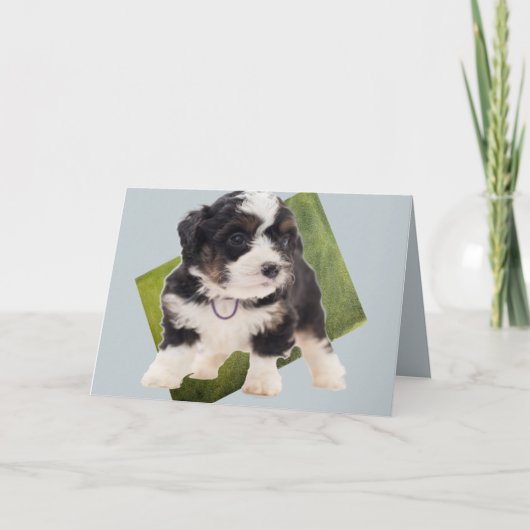 Mooie groene Bernedole Puppy Art  Kaart (Voorkant)