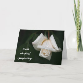 Mooie groene bladeren Witte rozen Bloemsympathie Kaart