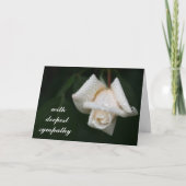 Mooie groene bladeren Witte rozen Bloemsympathie Kaart (Voorkant)