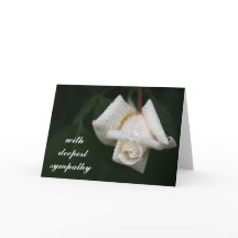 Mooie groene bladeren Witte rozen Bloemsympathie