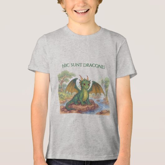 Mooie groene draak Tri-Blend shirt (Voorkant)