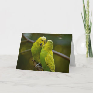 Mooie groene gele grasparkiet vogels op een tak kaart