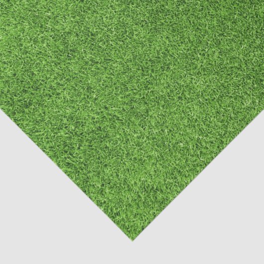 Mooie groene grastextuur vanaf golfbaan tissuepapier (Detail)