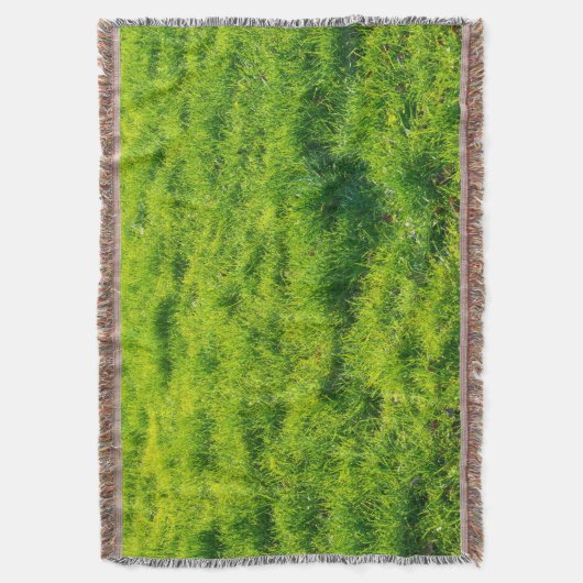 Mooie groene grijs trommelbak deken (Voorkant Verticaal)