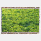 Mooie groene grijs trommelbak deken (Voorkant)