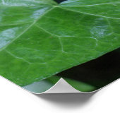 Mooie groene Ivy print (Hoek)