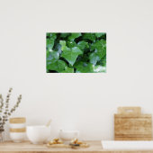 Mooie groene Ivy print (Keuken)