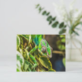Mooie groene kameleon briefkaart (Staand voorkant)
