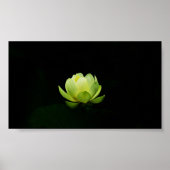 Mooie groene Lotus, Lake,Zen Poster (Voorkant)