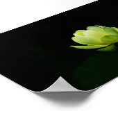 Mooie Groene Lotus,Meer,Zen Poster (Hoek)